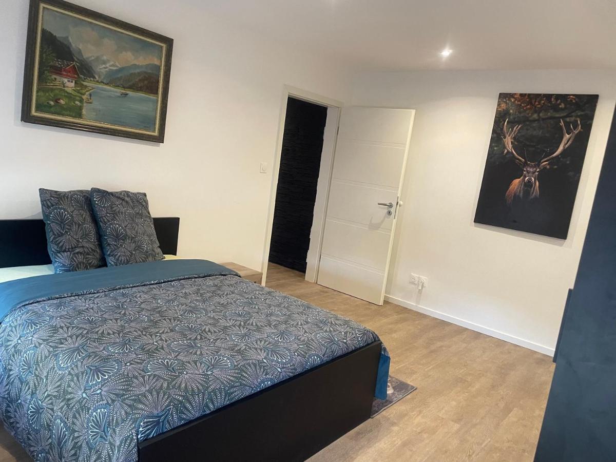 Superbe Appartement au RDC avec cheminée Villerupt Exterior foto